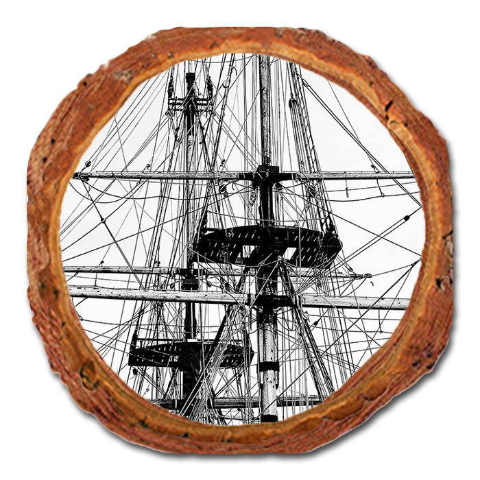Coaster: Live Edge - Tall Ship (Pack of 5)