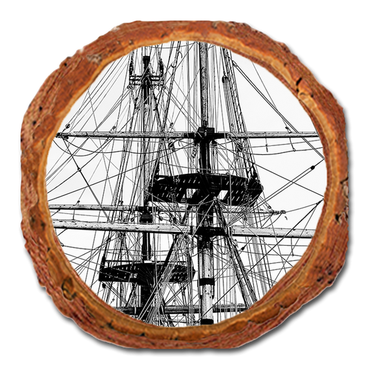 Coaster: Live Edge - Tall Ship (Pack of 5)