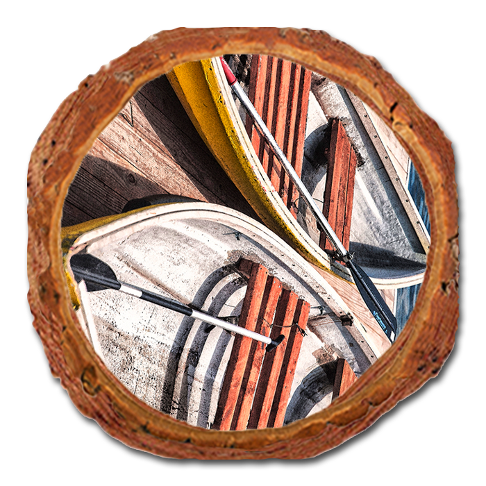 Coaster: Live Edge - Weekend Outing