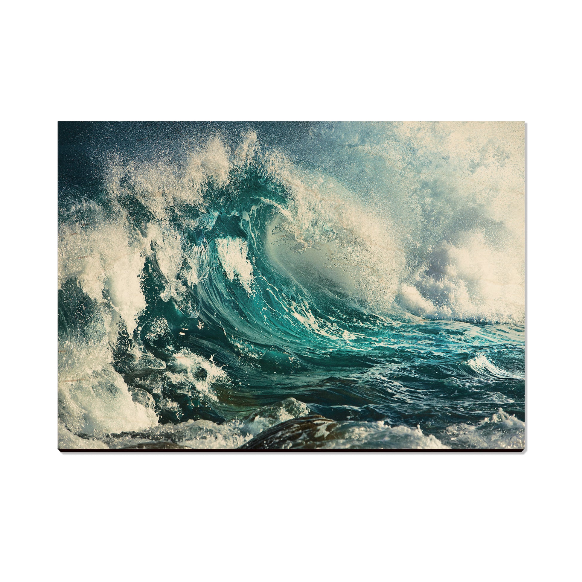 Wild Wave - Magnet Classic Edge Postcard (5pk // $2.80ea)