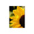 Yellow Sunflower - Magnet Classic Edge Magnet (5pk // $2.80ea)