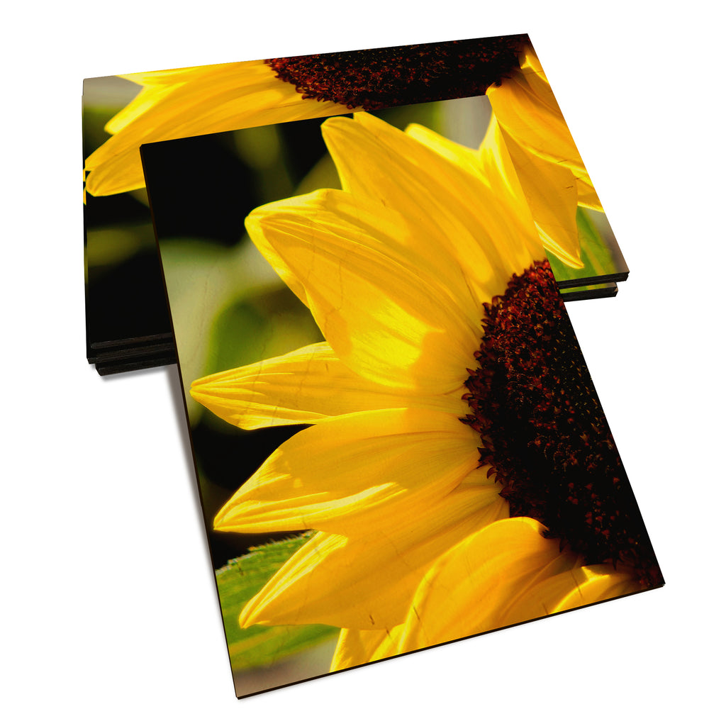 Yellow Sunflower - Classic Edge Classic Edge Postcard (5pk // $2.80ea)