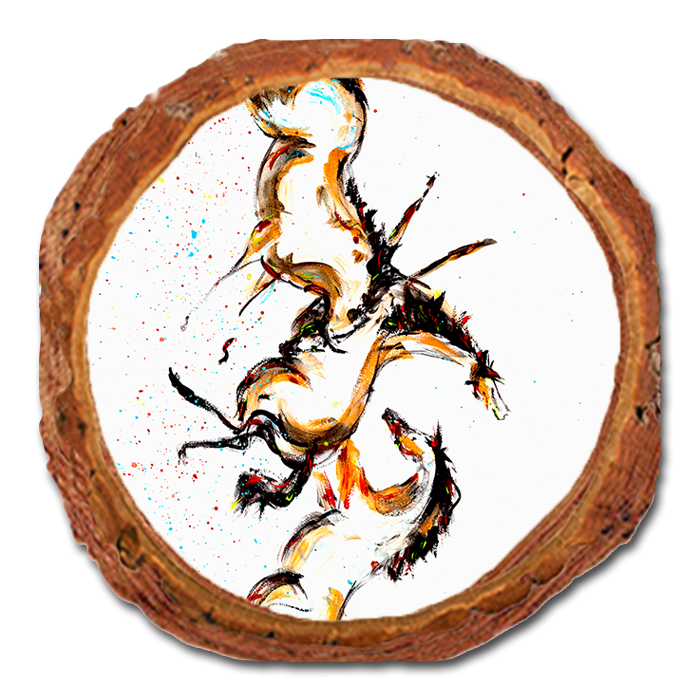 Coaster: Live Edge - Neal's Frolic (Pack of 5)