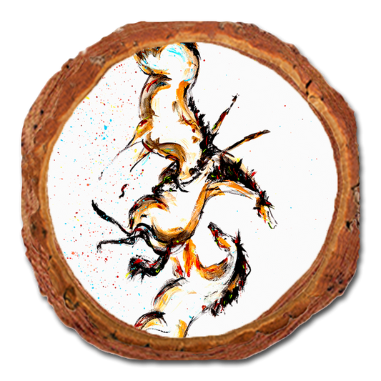 Coaster: Live Edge - Neal's Frolic (Pack of 5)