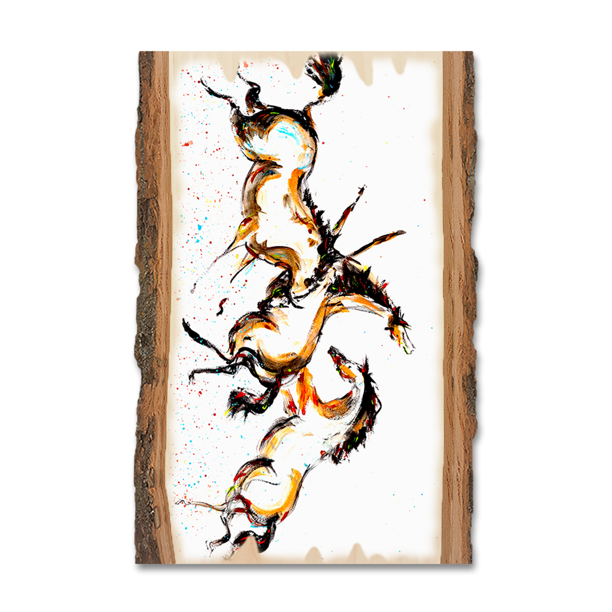 Magnet: Live Edge - Neal's Frolic
