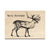 Line Art Reindeer - Holiday - Classic Edge