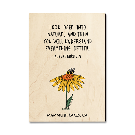 Greeting Card: Classic Edge - Look Deep (Pack of 5)