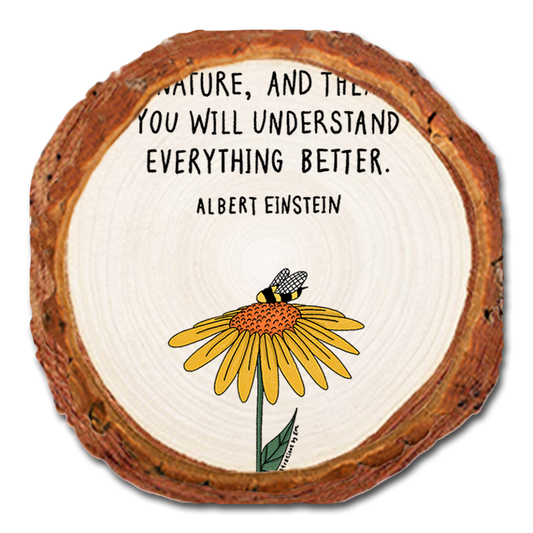 Coaster: Live Edge - Look Deep (Pack of 5)