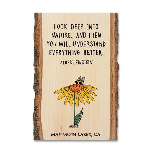 Magnet: Live Edge - Look Deep