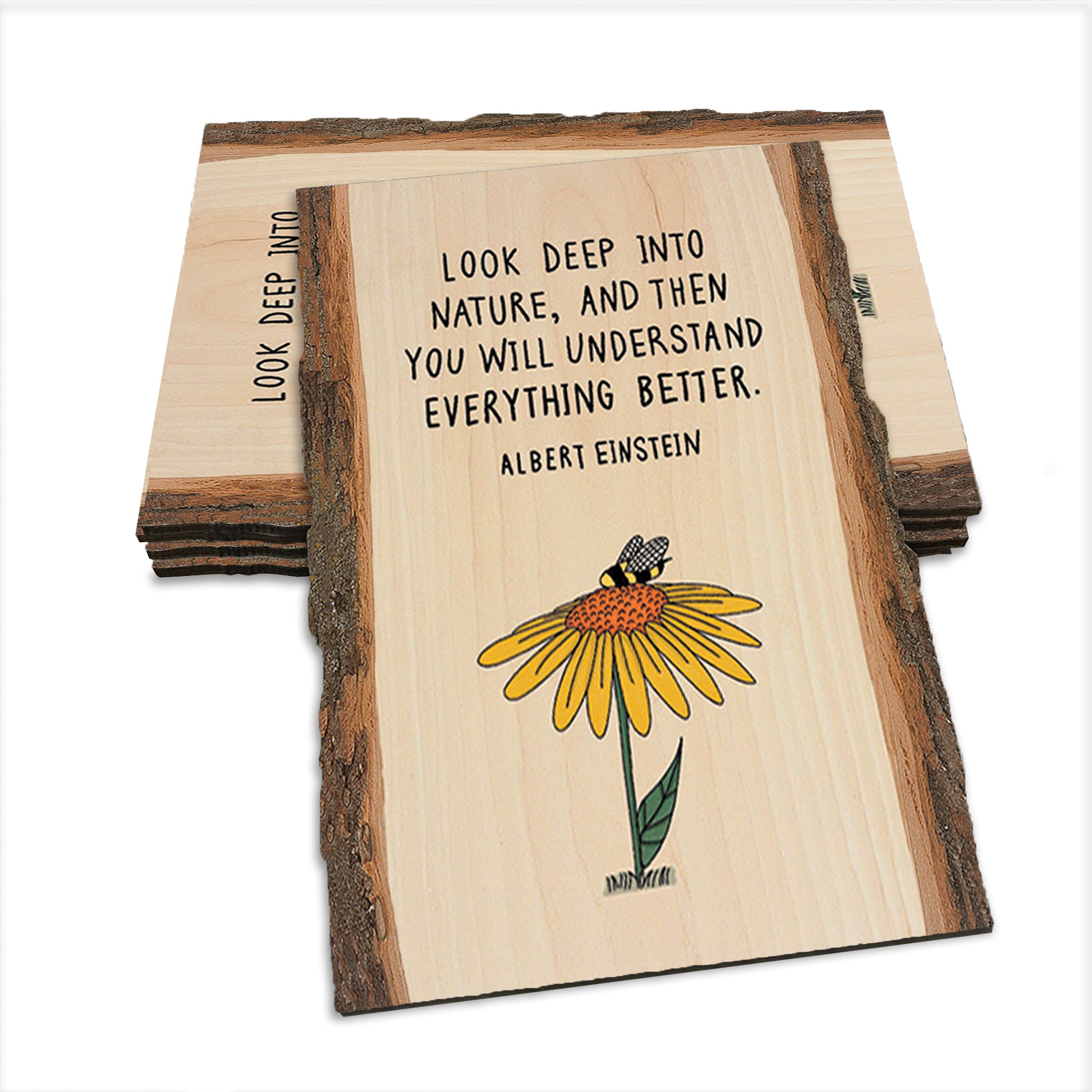 Look Deep - Live Edge Live Edge Postcard (5pk // $2.80ea)