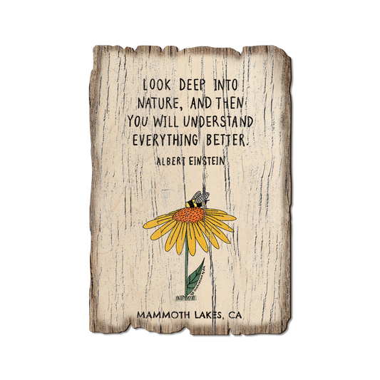 Greeting Card: Weathered Edge - Look Deep (Pack of 5)