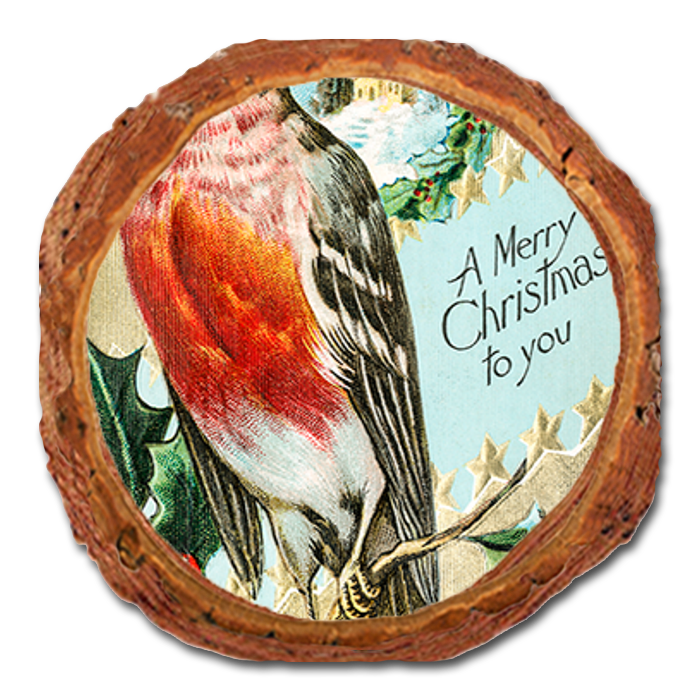 Coaster: Live Edge - Merry Christmas Robin