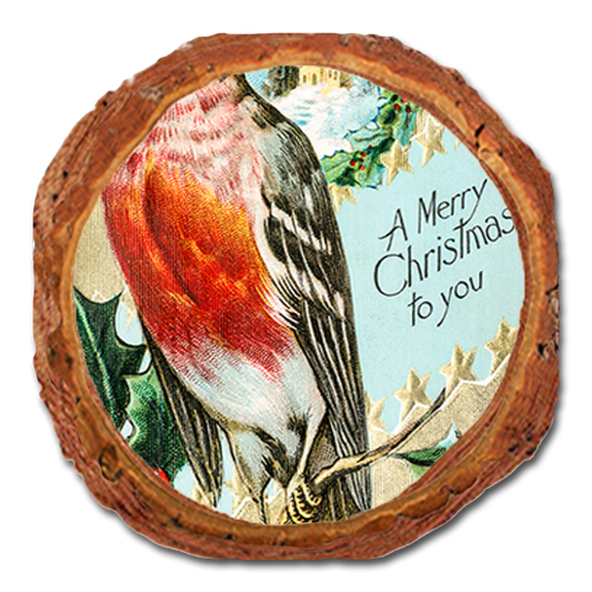 Coaster: Live Edge - Merry Christmas Robin