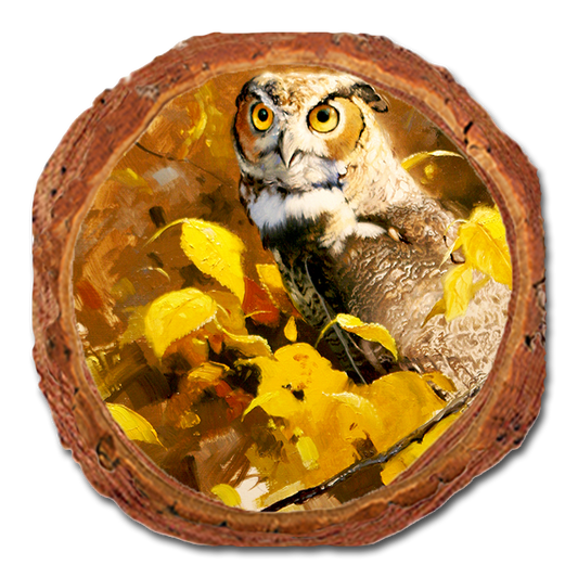 Coaster: Live Edge - Kelso's Autumn Eyes