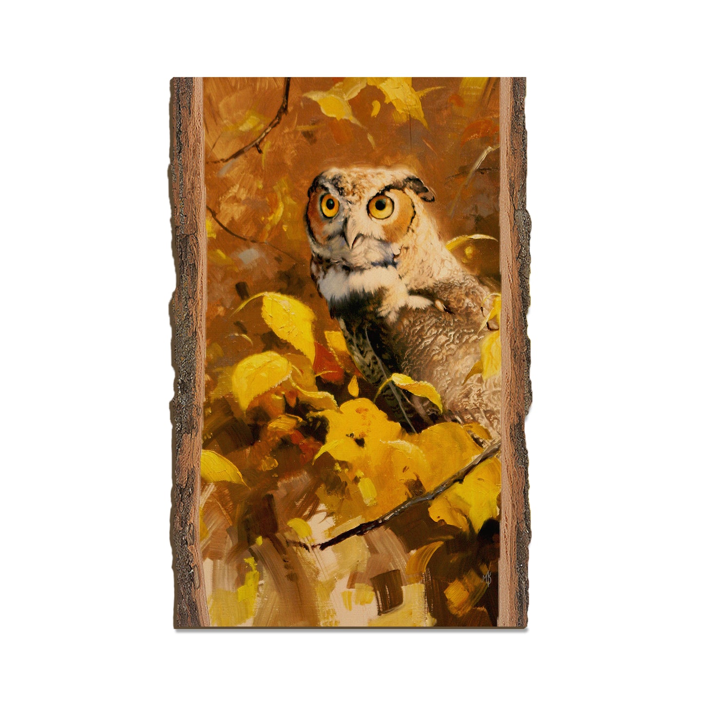 Kelso's Autumn Eyes - Live Edge Live Edge Magnet (5pk // $2.80ea)