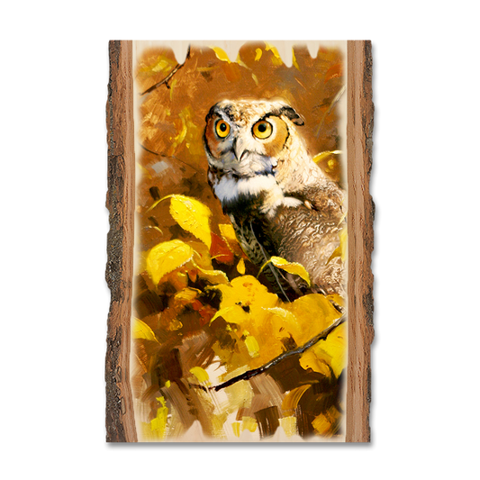 Magnet: Live Edge - Kelso's Autumn Eyes