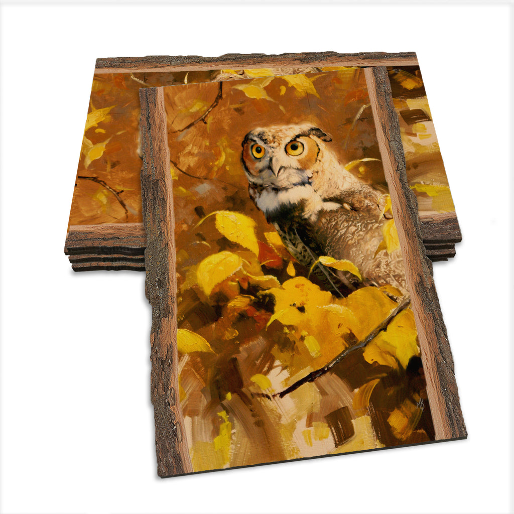 Kelso's Autumn Eyes - Live Edge Live Edge Postcard (5pk // $2.80ea)