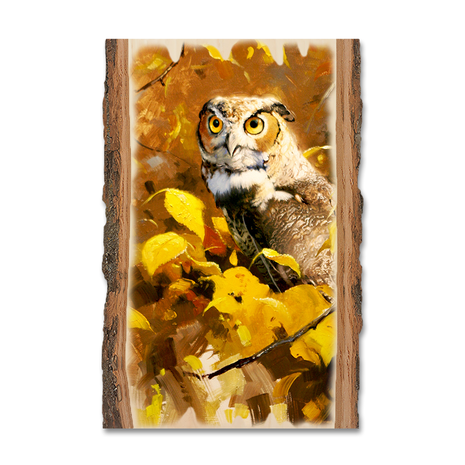 Postcard: Live Edge - Kelso's Autumn Eyes