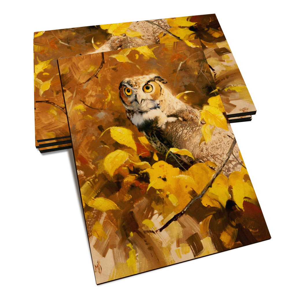 Kelso's Autumn Eyes - Classic Edge Classic Edge Postcard (5pk // $2.80ea)