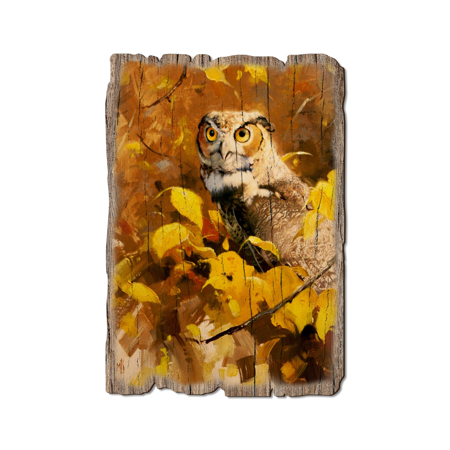 Kelso's Autumn Eyes - Rustic Edge Postcards & Magnets Rustic Edge Postcard (5pk // $2.80ea)