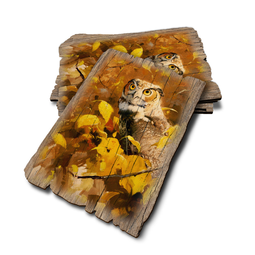 Kelso's Autumn Eyes - Weathered Edge Rustic Edge Postcard (5pk // $2.80ea)