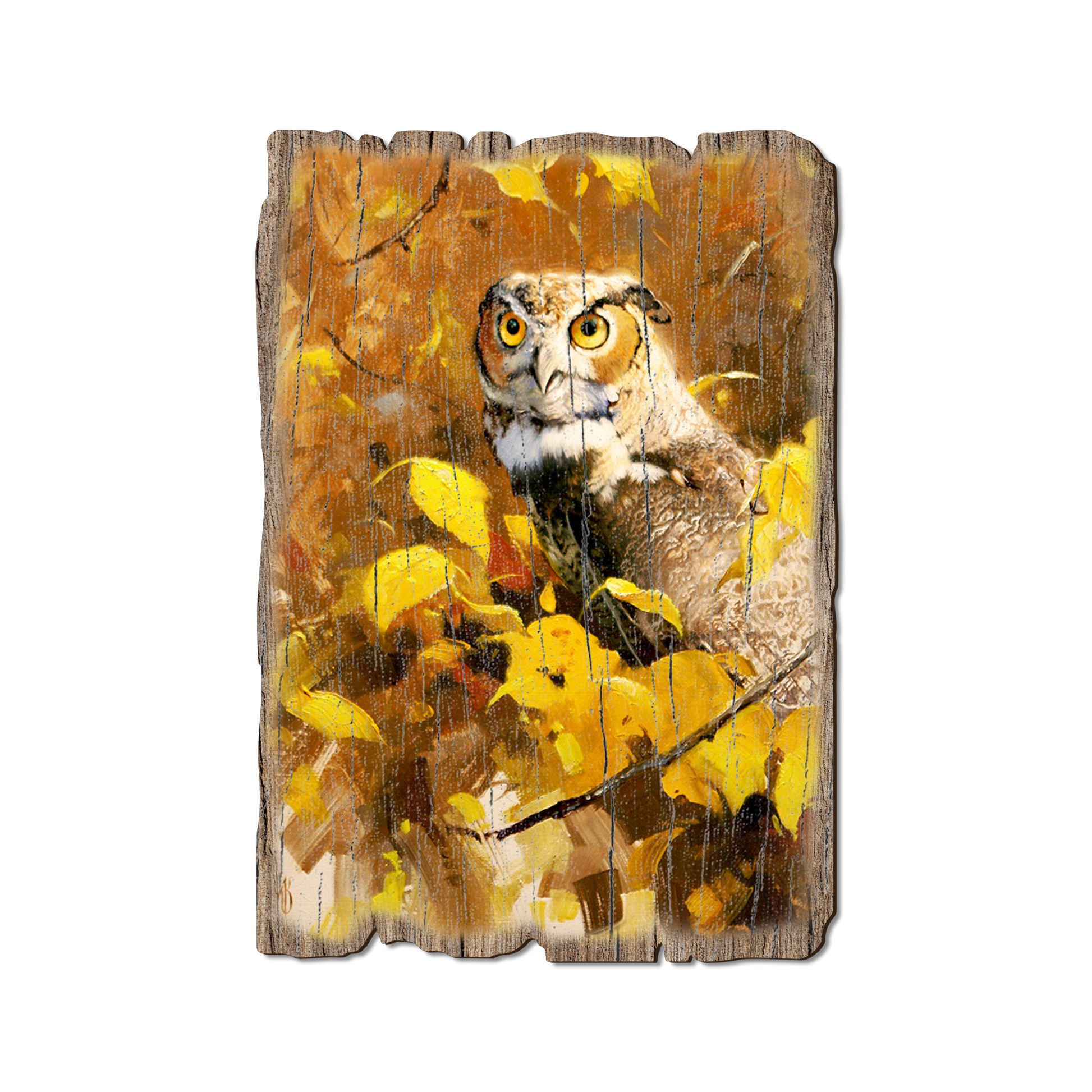 Postcard: Weathered Edge - Kelso's Autumn Eyes