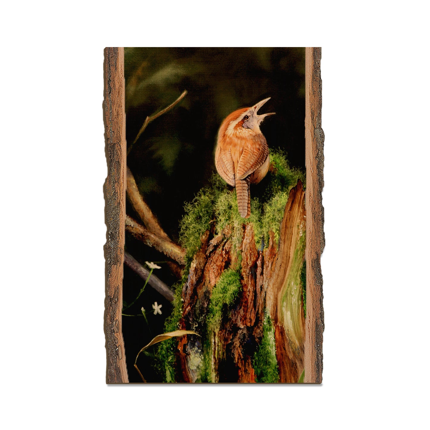 Kelso's Carolina Caroler - Live Edge Live Edge Magnet (5pk // $2.80ea)