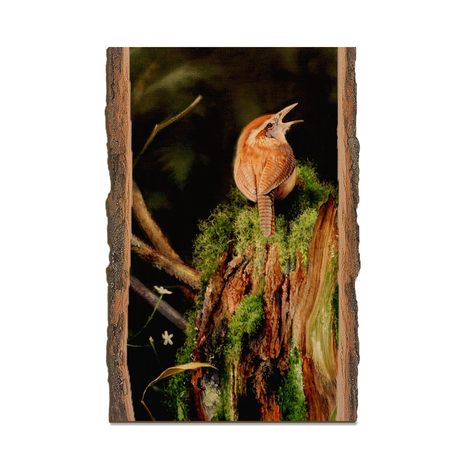 Kelso's Carolina Caroler - Live Edge Live Edge Postcard (5pk // $2.80ea)