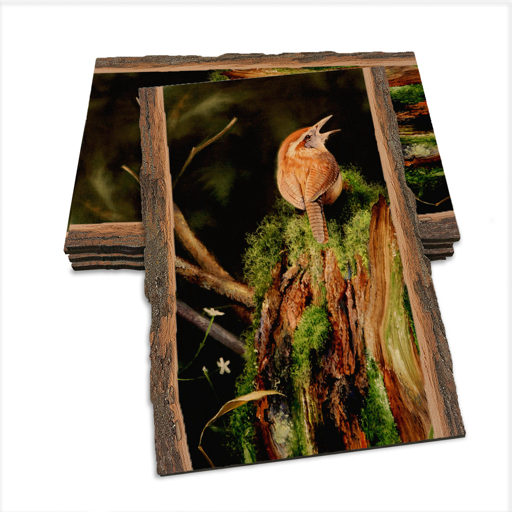 Kelso's Carolina Caroler - Live Edge Live Edge Postcard (5pk // $2.80ea)