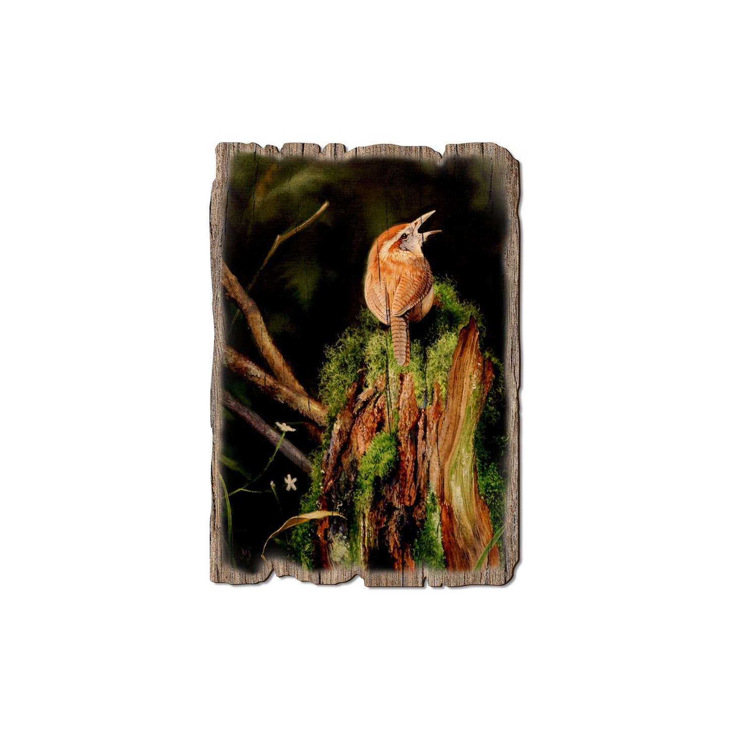 Kelso's Carolina Caroler - Rustic Edge Postcards & Magnets Rustic Edge Magnet (5pk // $2.80ea)