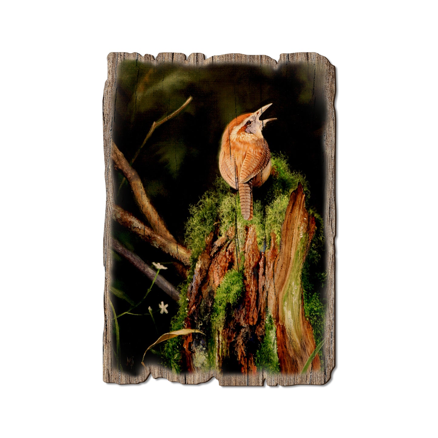 Kelso's Carolina Caroler - Rustic Edge Postcards & Magnets Rustic Edge Postcard (5pk // $2.80ea)