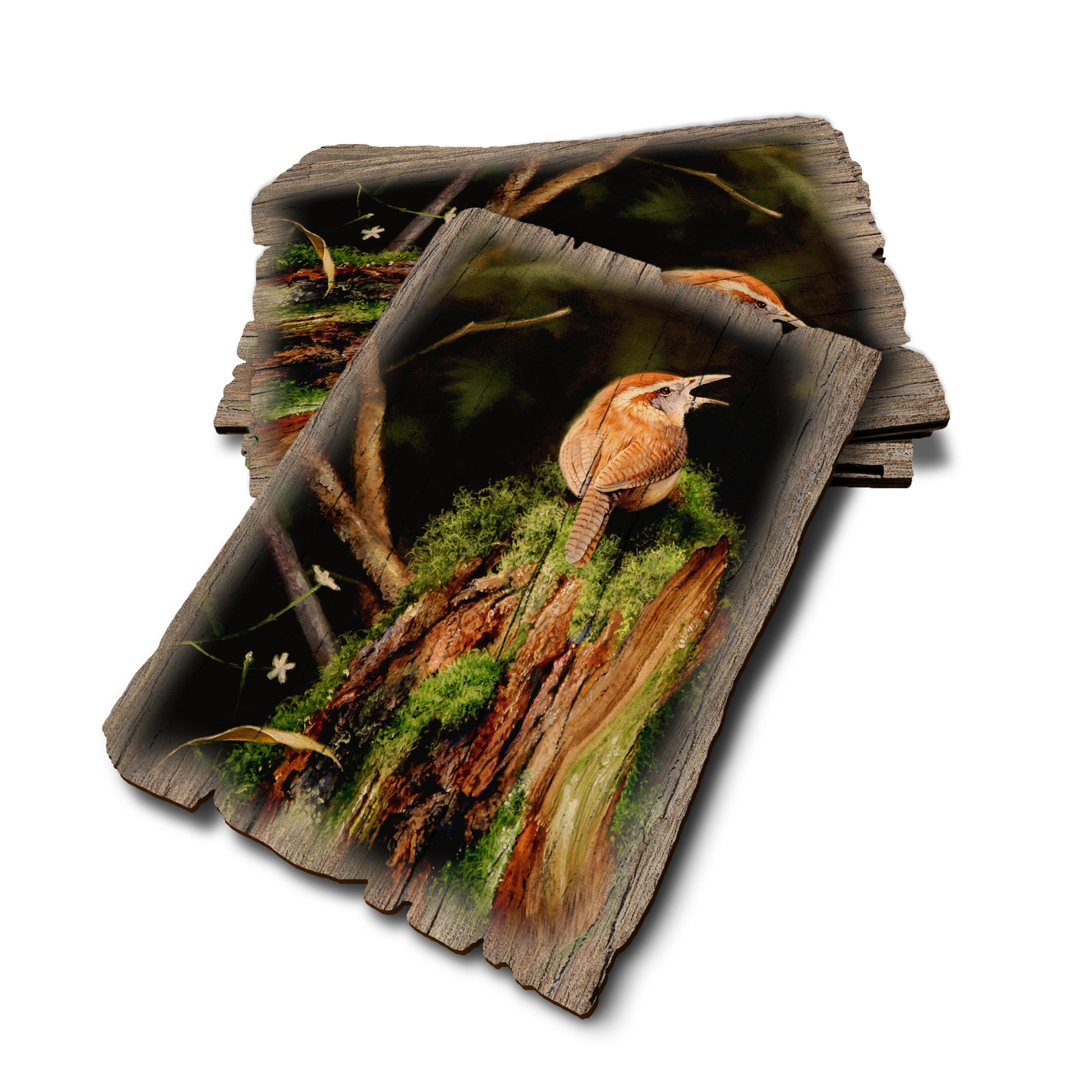 Kelso's Carolina Caroler - Weathered Edge Rustic Edge Postcard (5pk // $2.80ea)