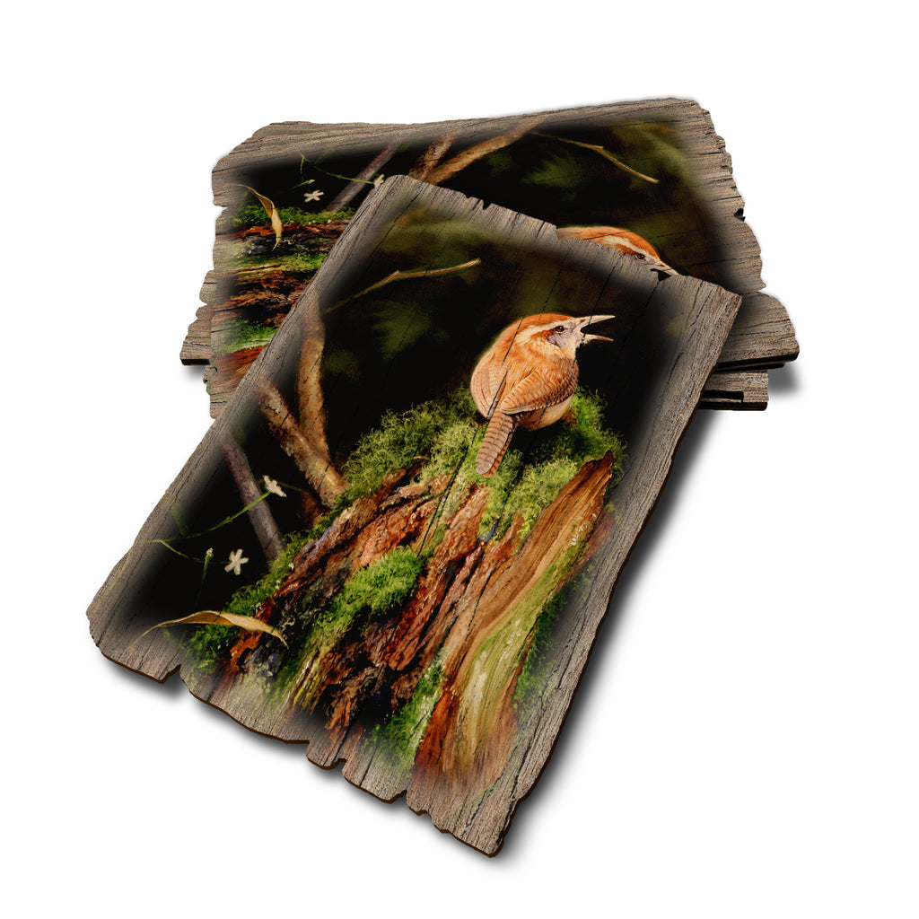 Kelso's Carolina Caroler - Weathered Edge Rustic Edge Postcard (5pk // $2.80ea)