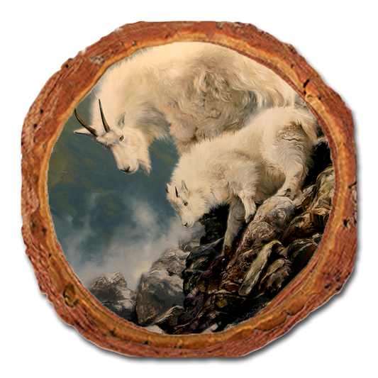 Coaster: Live Edge - Kelso's Finding the Way (Pack of 5)
