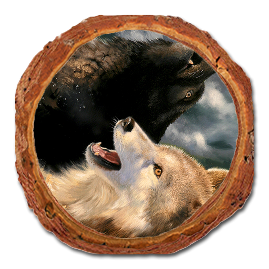 Coaster: Live Edge - Kelso's Harmony (Pack of 5)