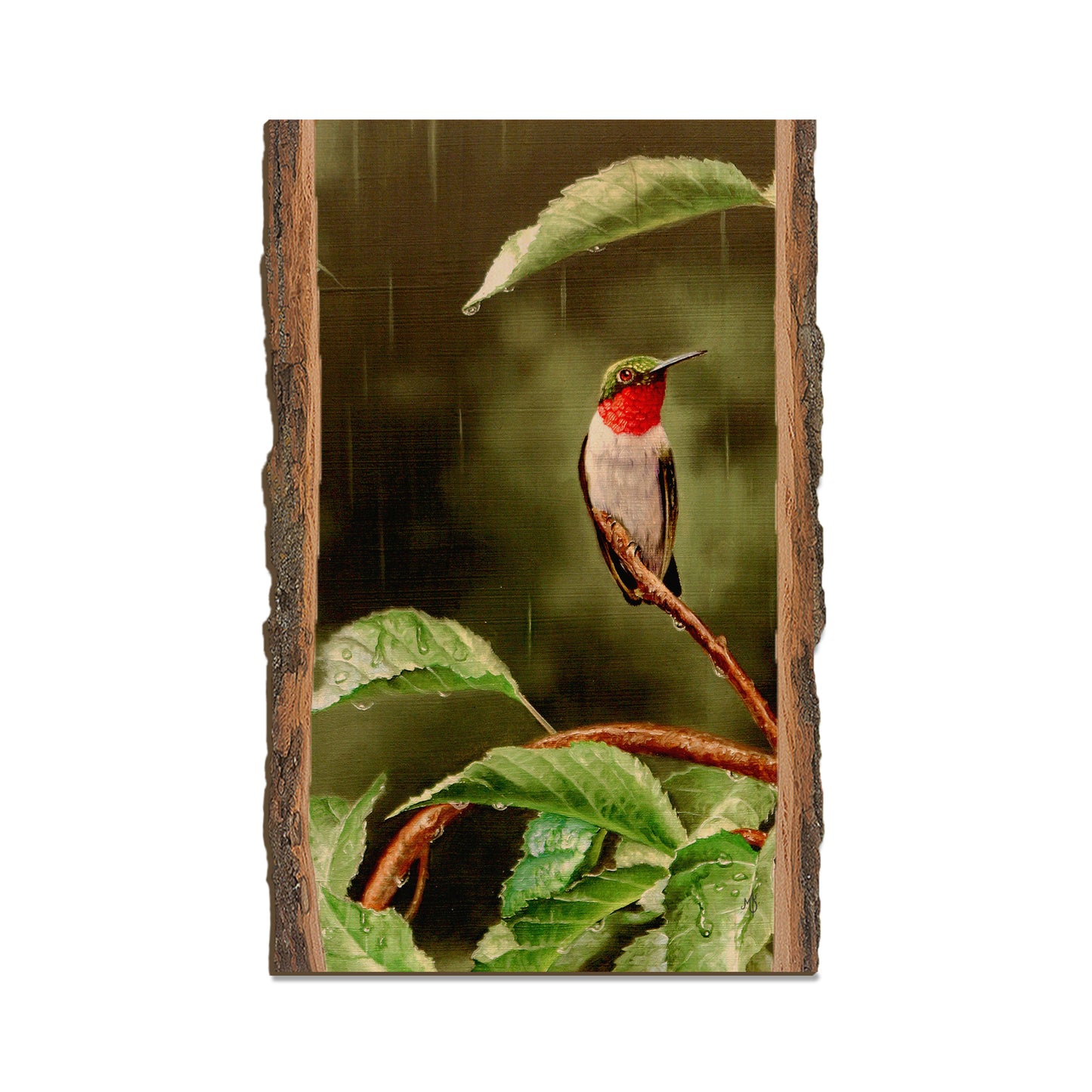 Kelso's Little Shelter - Live Edge Live Edge Magnet (5pk // $2.80ea)