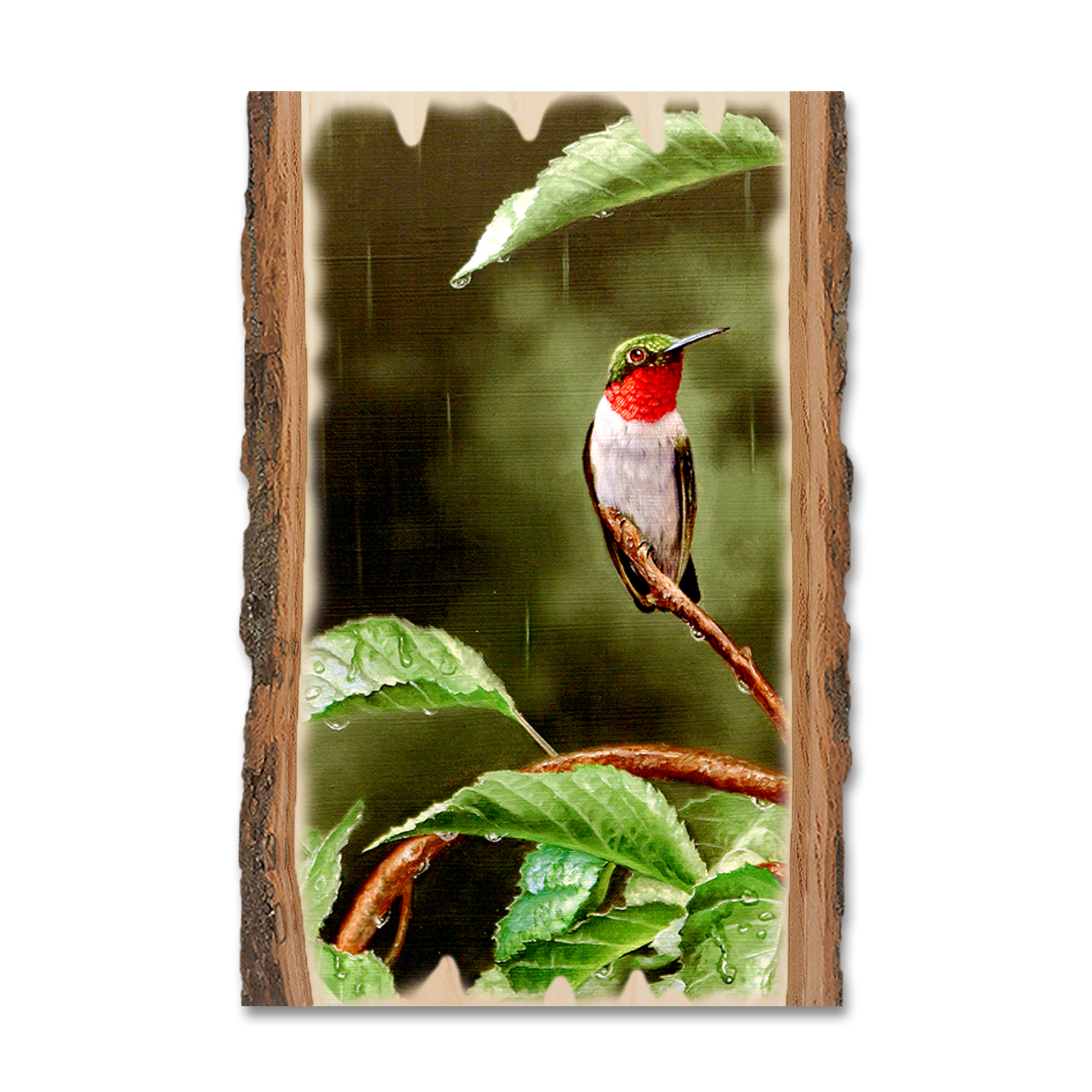 Magnet: Live Edge - Kelso's Little Shelter