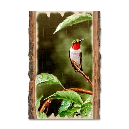 Magnet: Live Edge - Kelso's Little Shelter