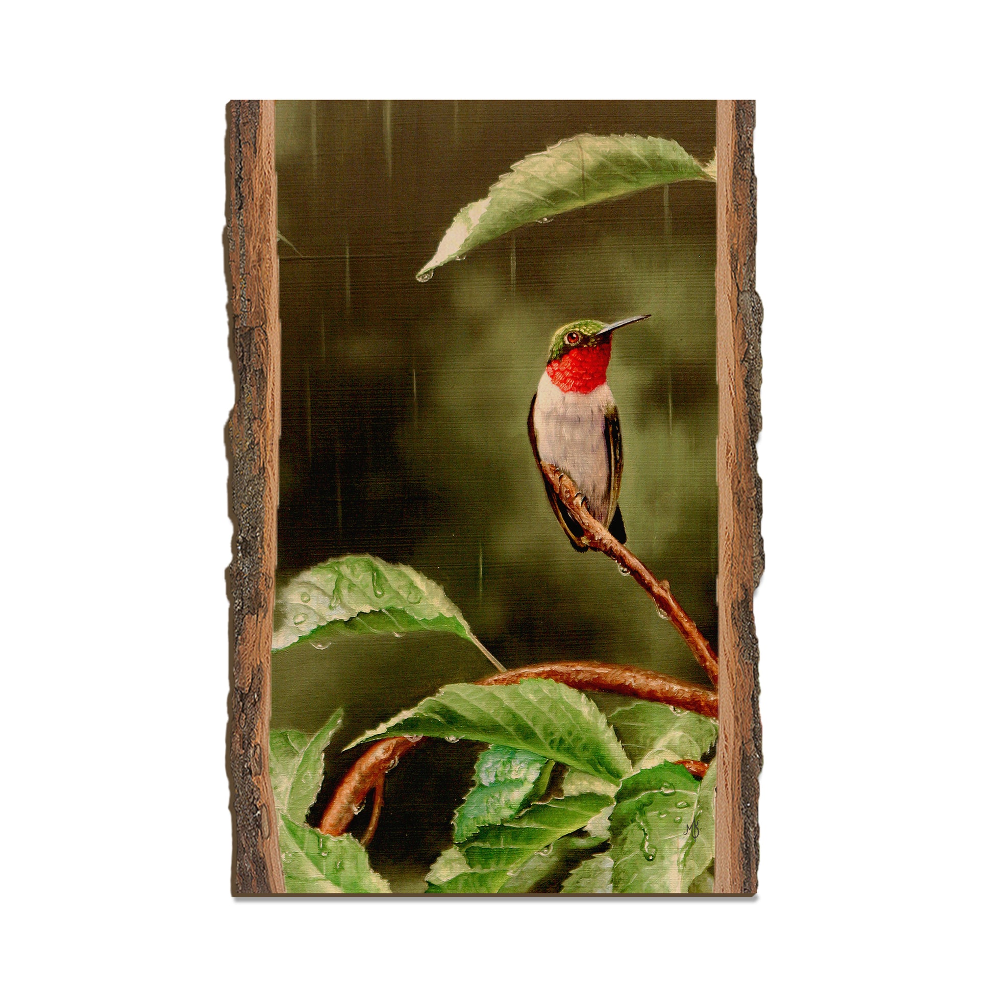 Kelso's Little Shelter - Live Edge Live Edge Postcard (5pk // $2.80ea)