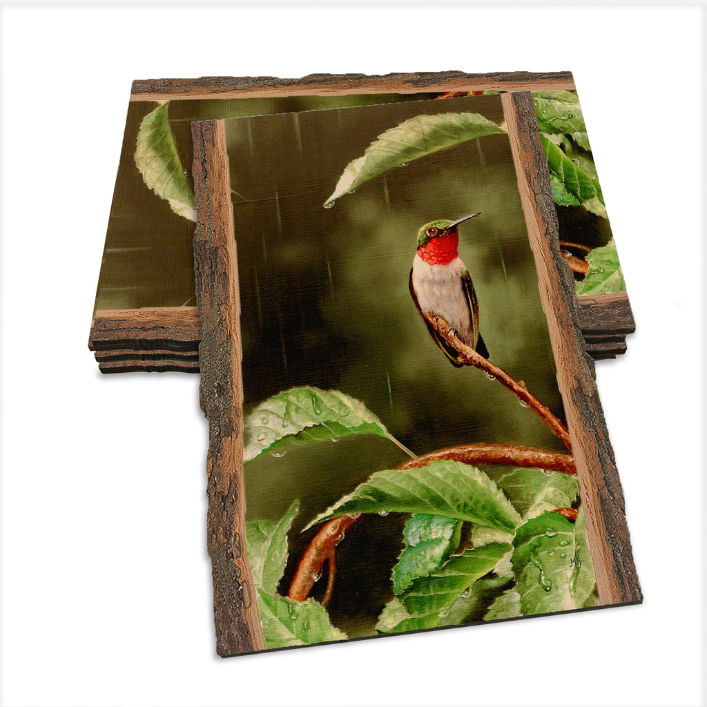 Kelso's Little Shelter - Live Edge Live Edge Postcard (5pk // $2.80ea)