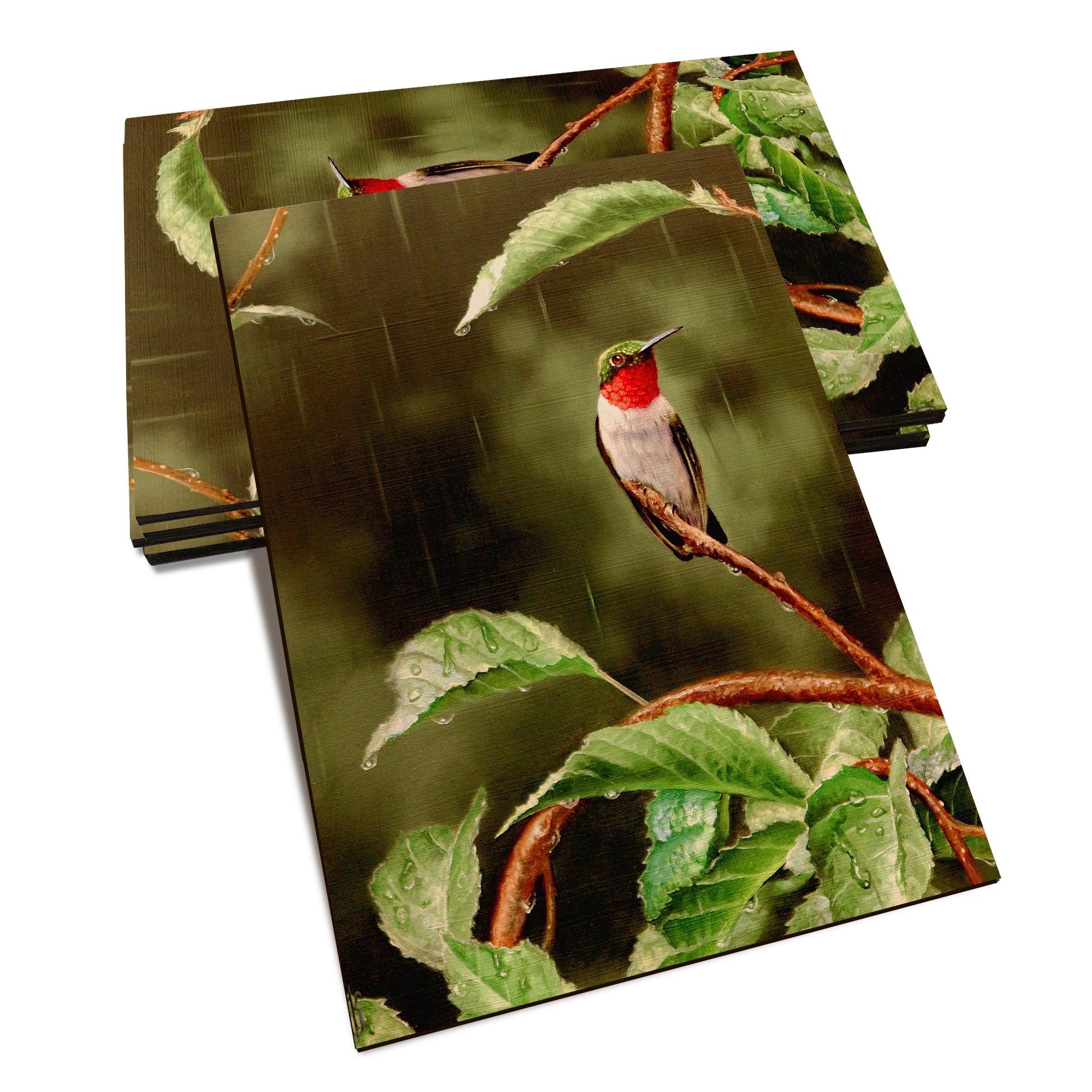 Kelso's Little Shelter - Classic Edge Classic Edge Postcard (5pk // $2.80ea)