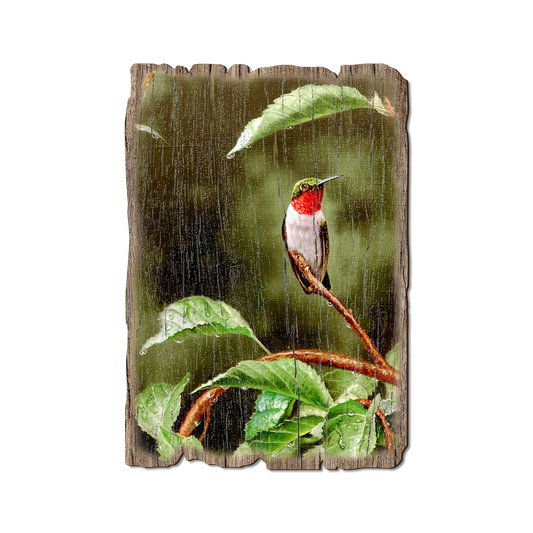 Greeting Card: Weathered Edge - Kelso's Little Shelter