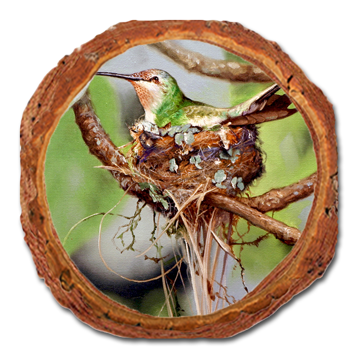 Coaster: Live Edge - Kelso's Lady in Waiting