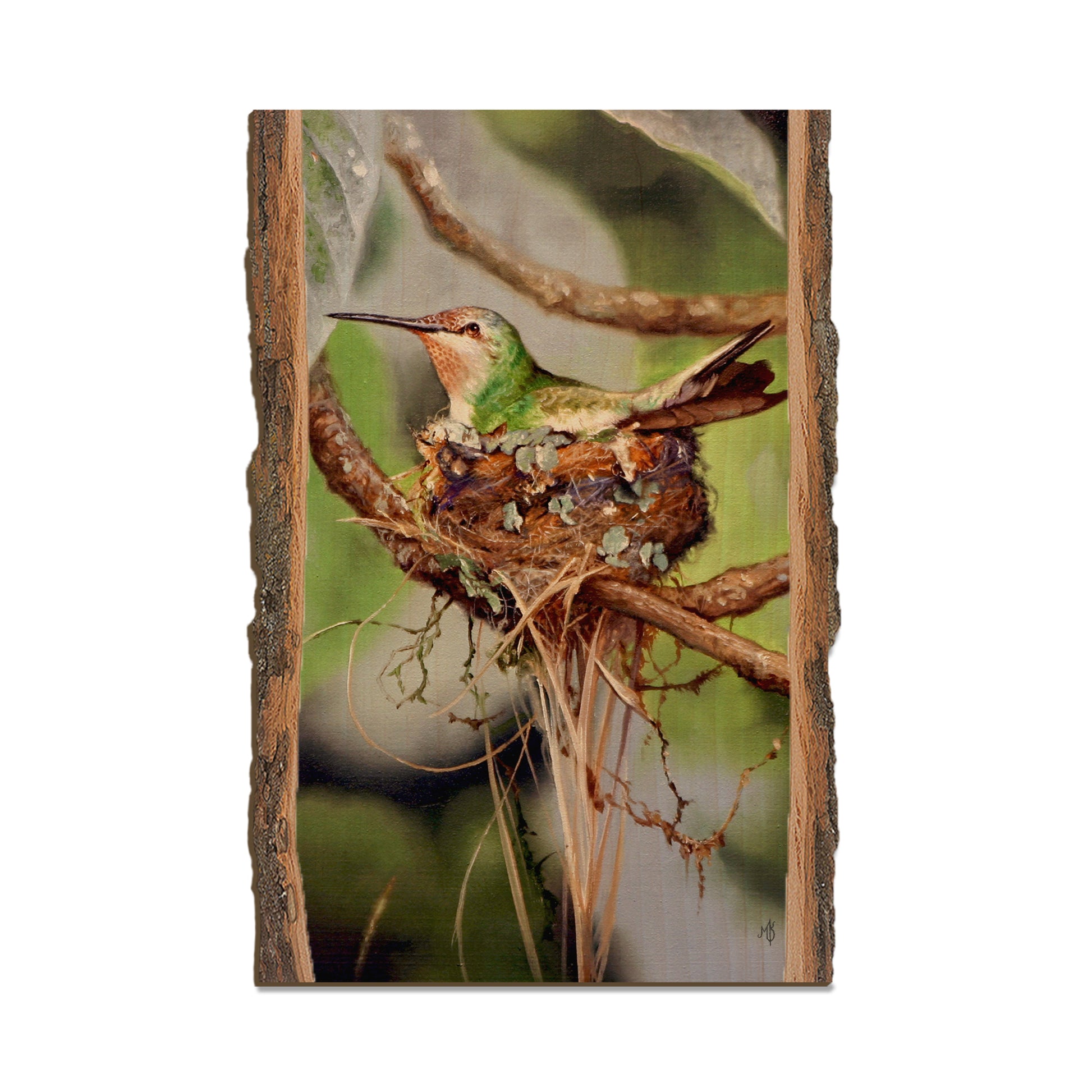 Kelso's Lady in Waiting - Live Edge Live Edge Postcard (5pk // $2.80ea)