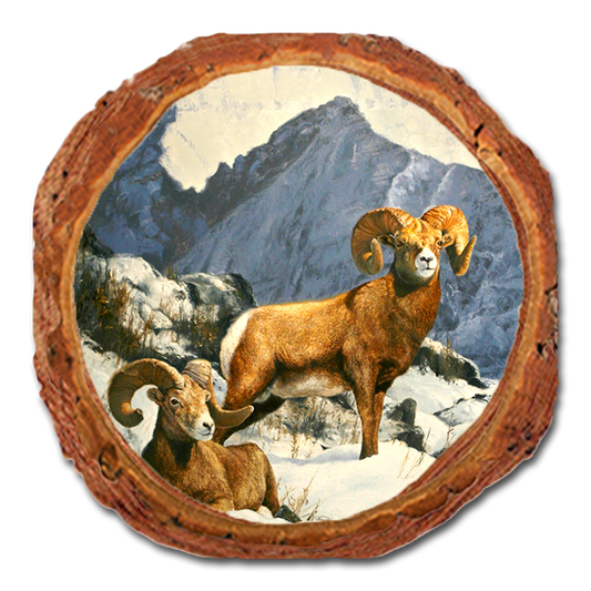 Coaster: Live Edge - Kelso's Mountain Kings