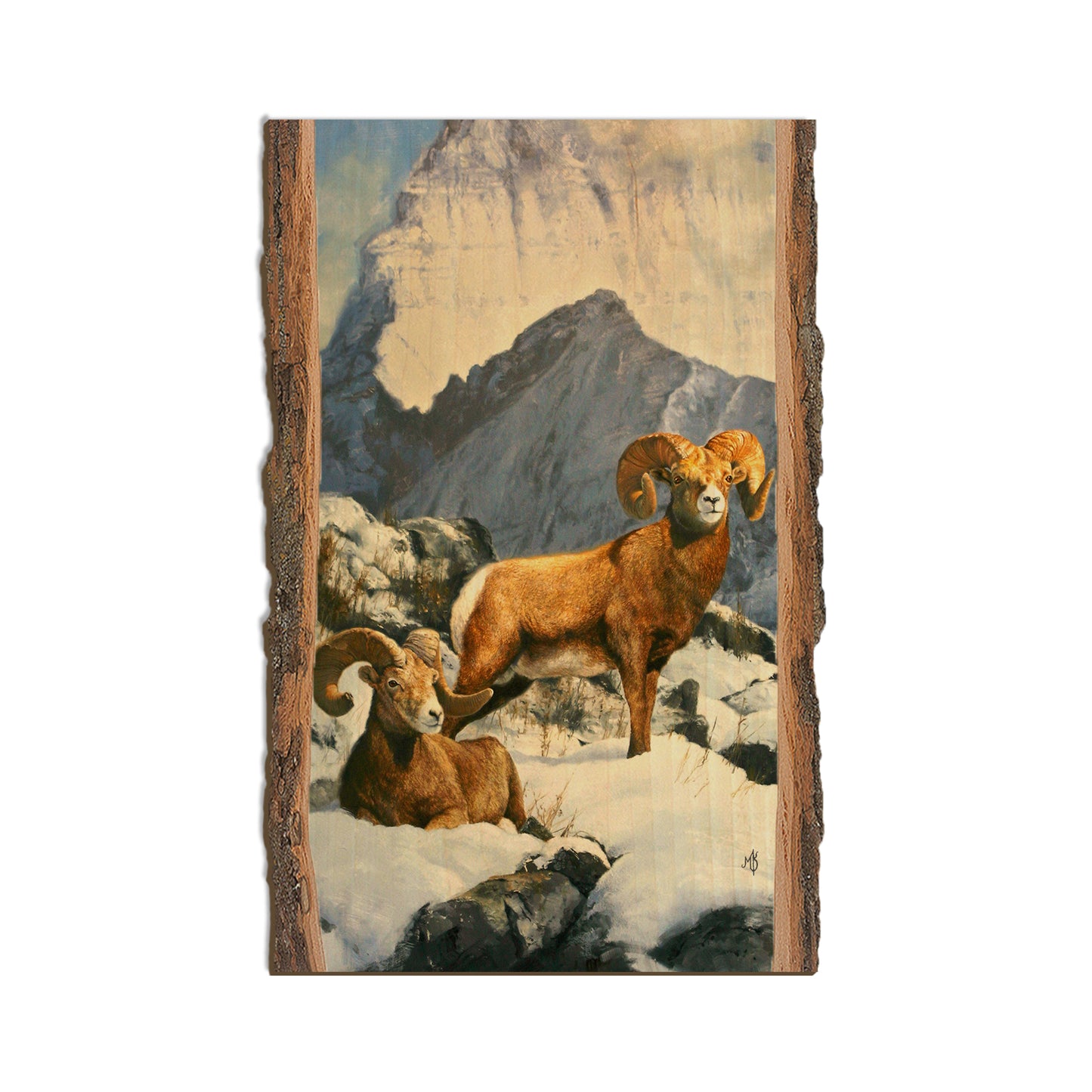Kelso's Mountain Kings - Live Edge Live Edge Magnet (5pk // $2.80ea)