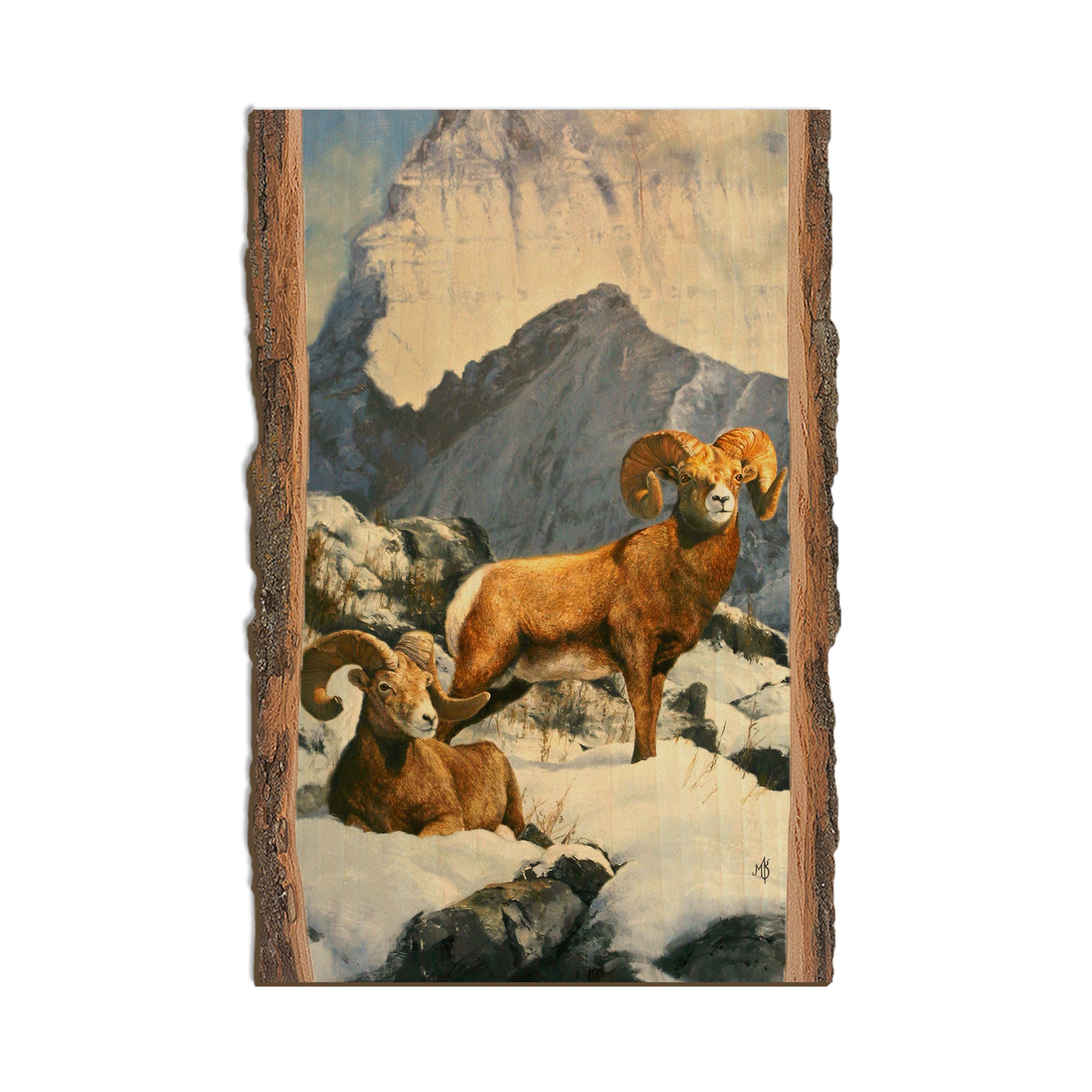 Kelso's Mountain Kings - Live Edge Live Edge Postcard (5pk // $2.80ea)