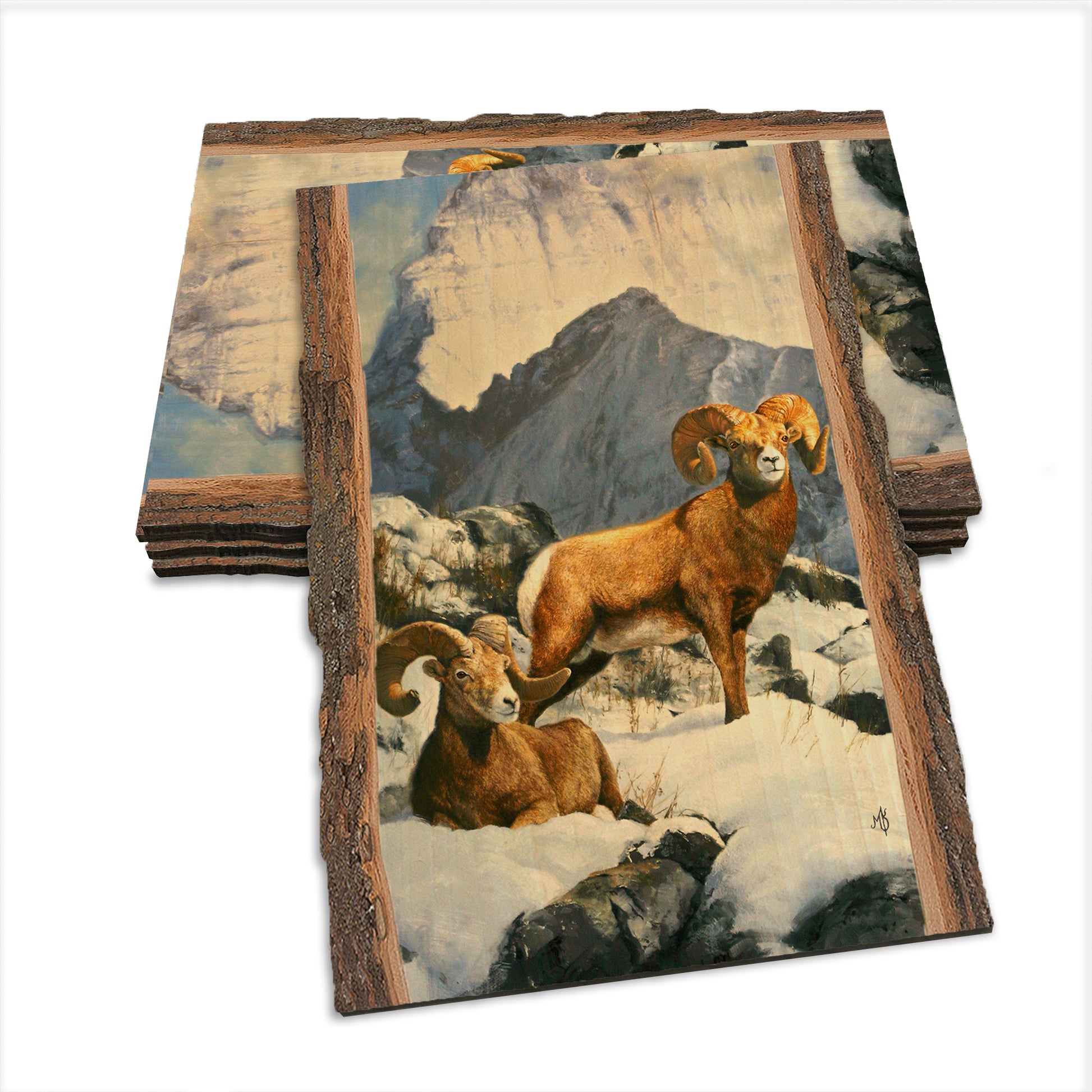 Kelso's Mountain Kings - Live Edge Live Edge Postcard (5pk // $2.80ea)
