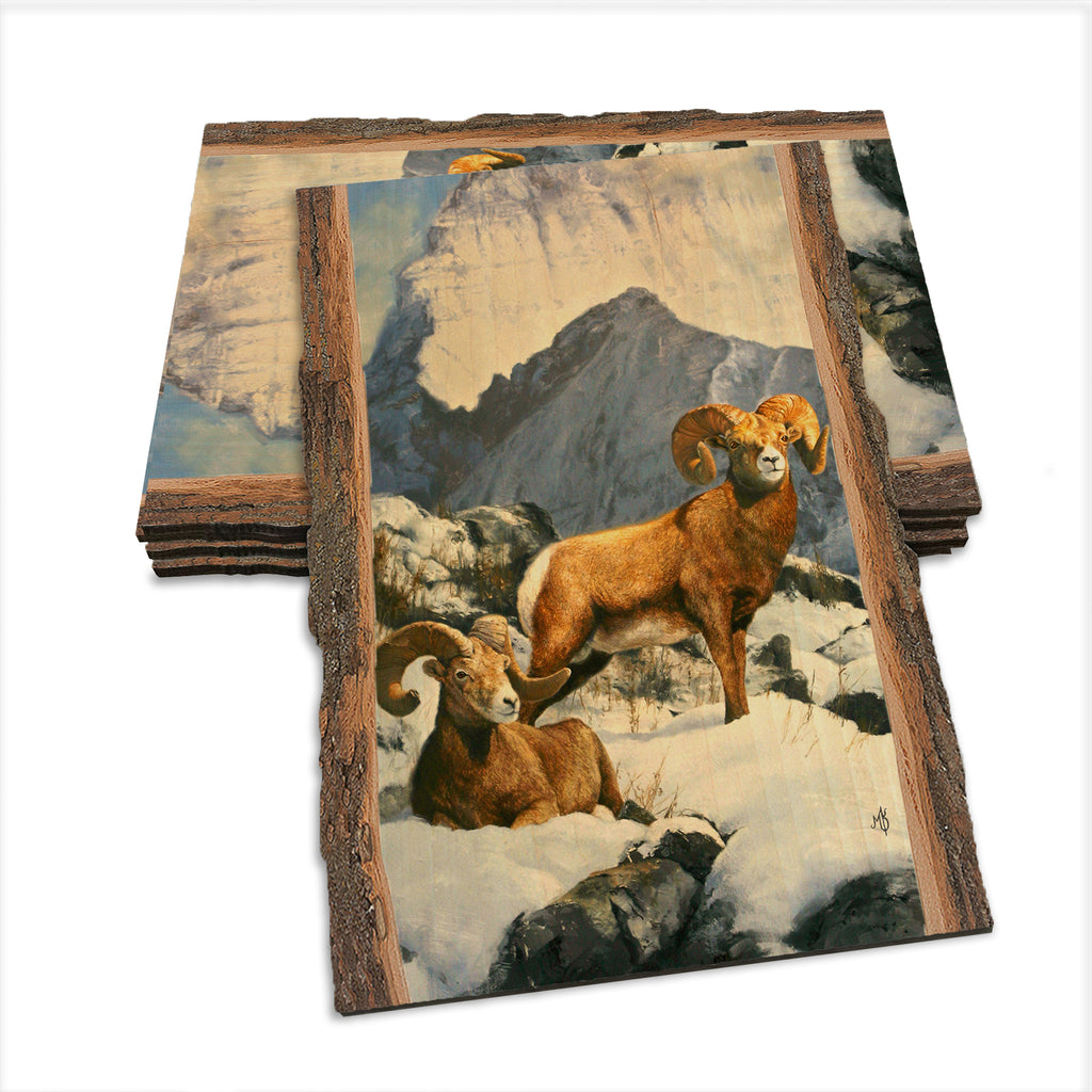 Kelso's Mountain Kings - Live Edge Live Edge Postcard (5pk // $2.80ea)