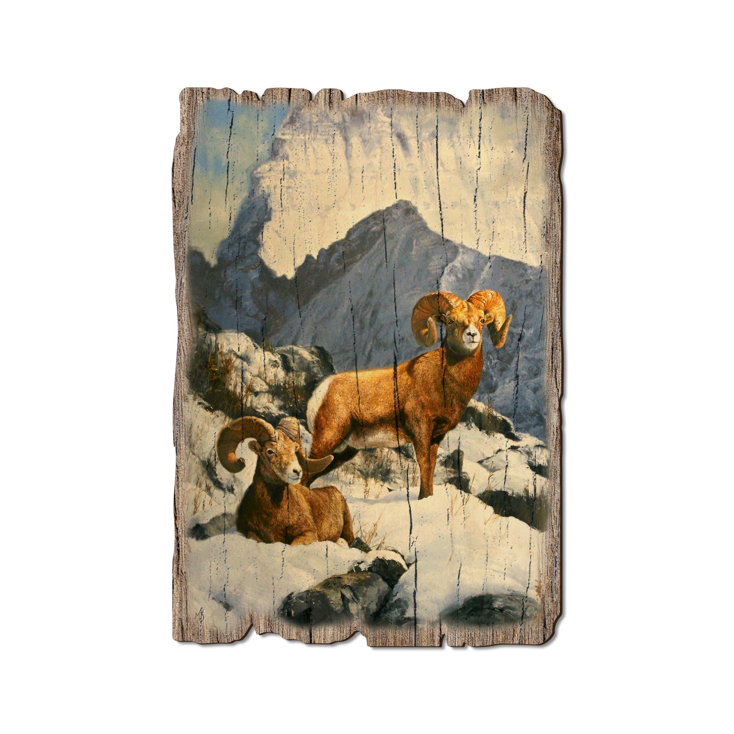 Kelso's Mountain Kings - Rustic Edge Postcards & Magnets Rustic Edge Postcard (5pk // $2.80ea)